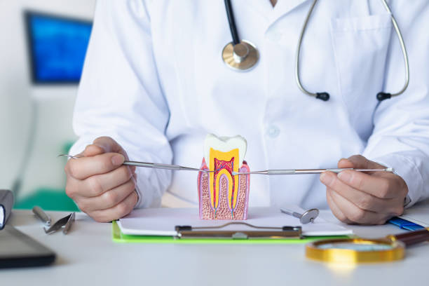 Best Pediatric Emergency Dentist in Selma, NC